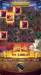 m79 · Rooster Rbl